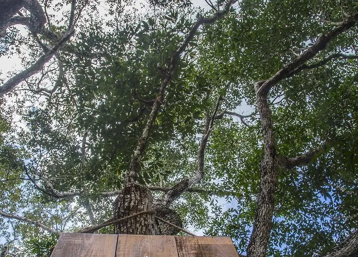 Lumapi Lodge Tulum